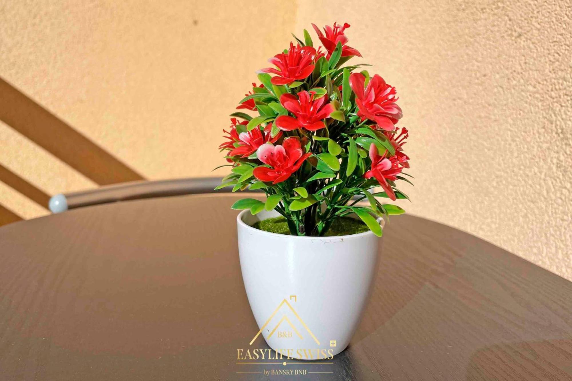 X2pax -by Easylife Swiss * Lugano